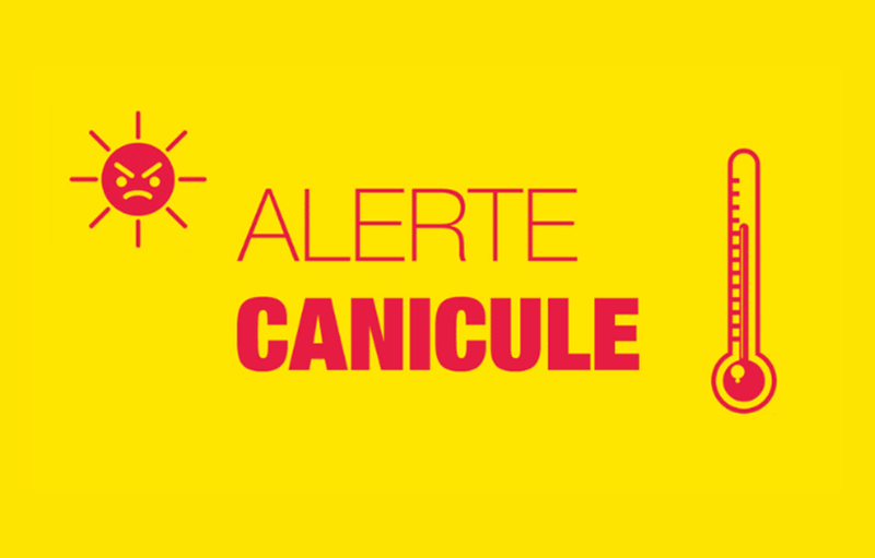 affiche canicule